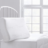 Visco Therapy SPA Pillow